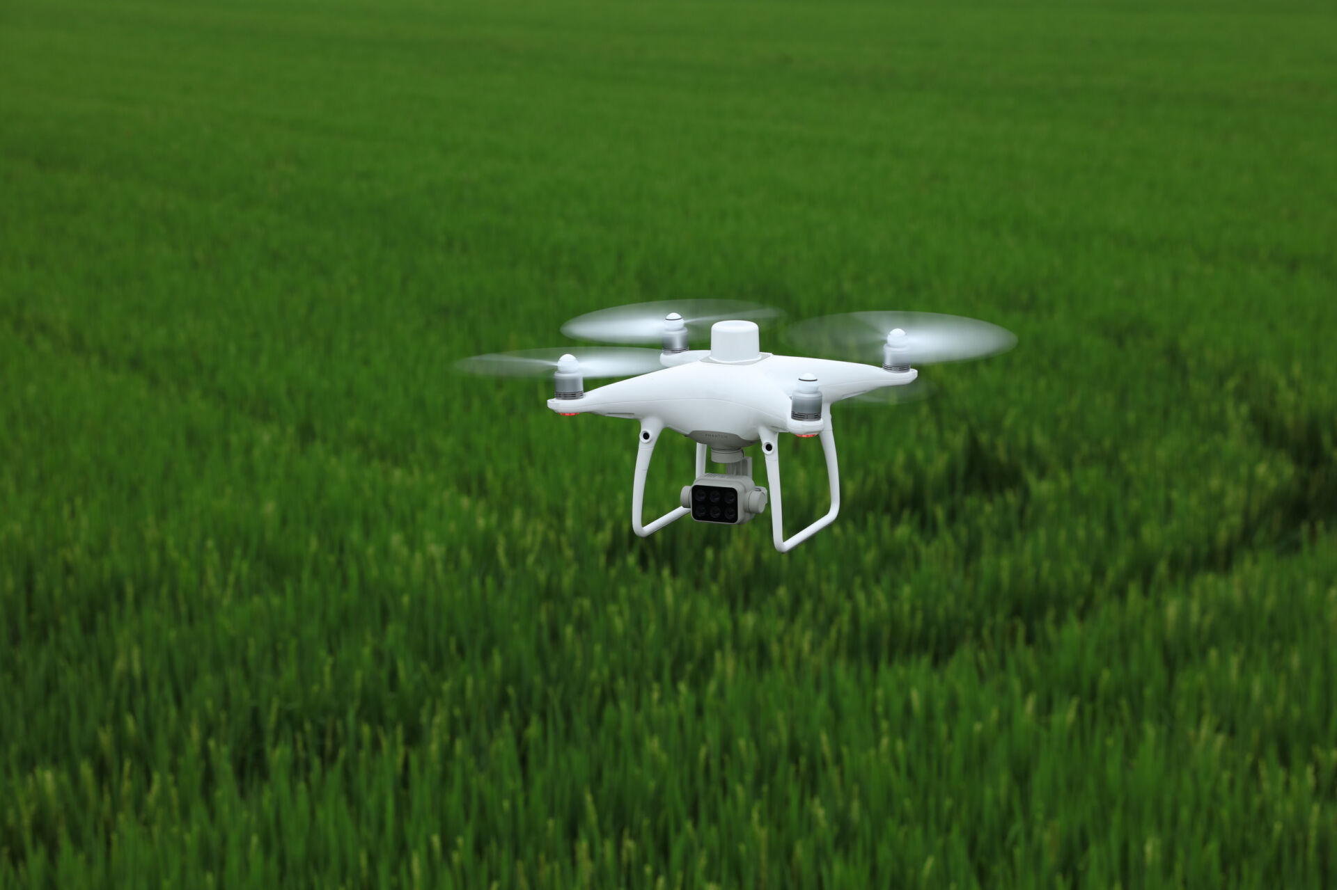 P4 Multispectral drone flying over lush green crop of a farm to ensure the plants are healthy