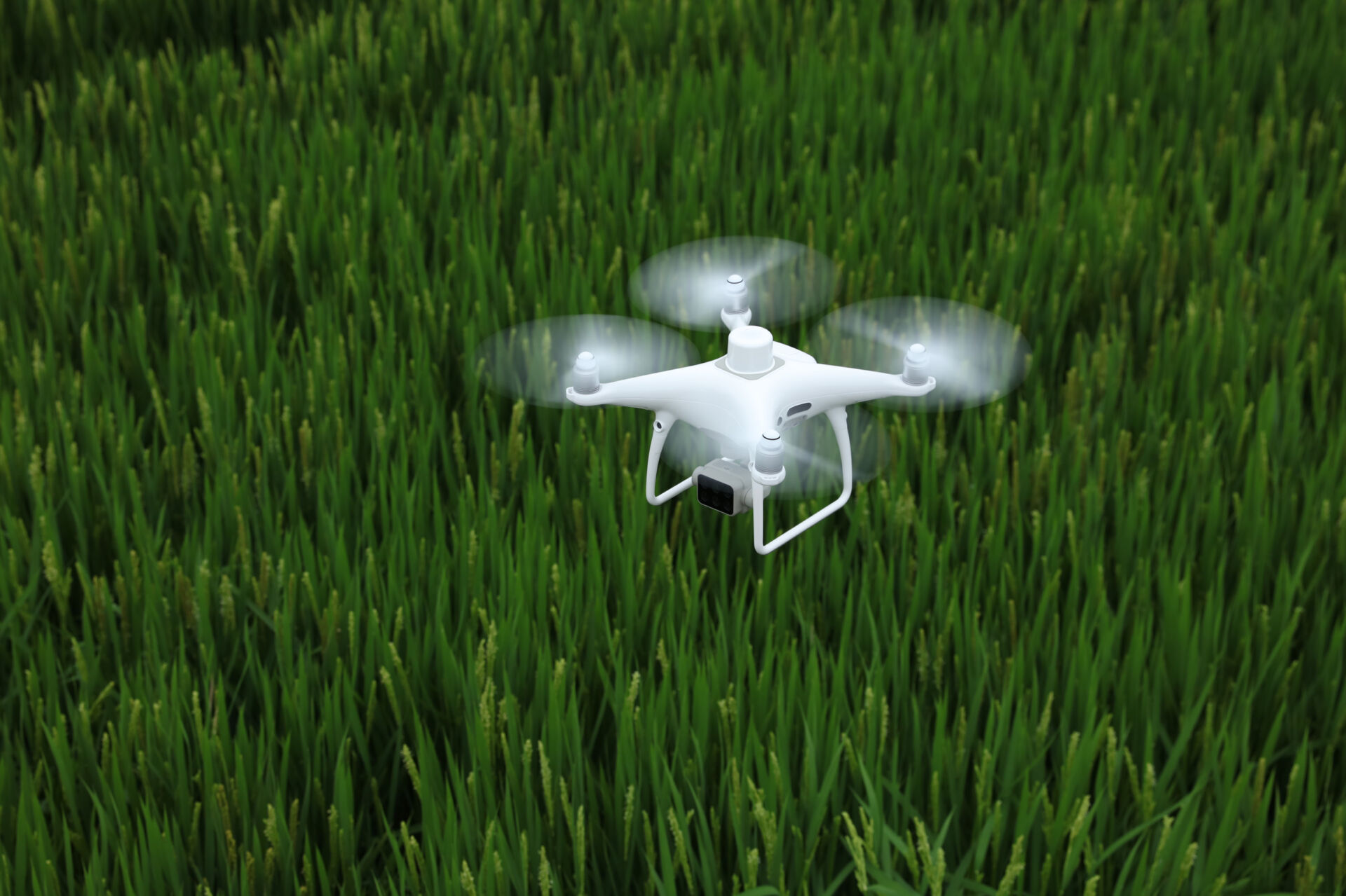 P4 Multispectral drone at work over field of green grass farmer