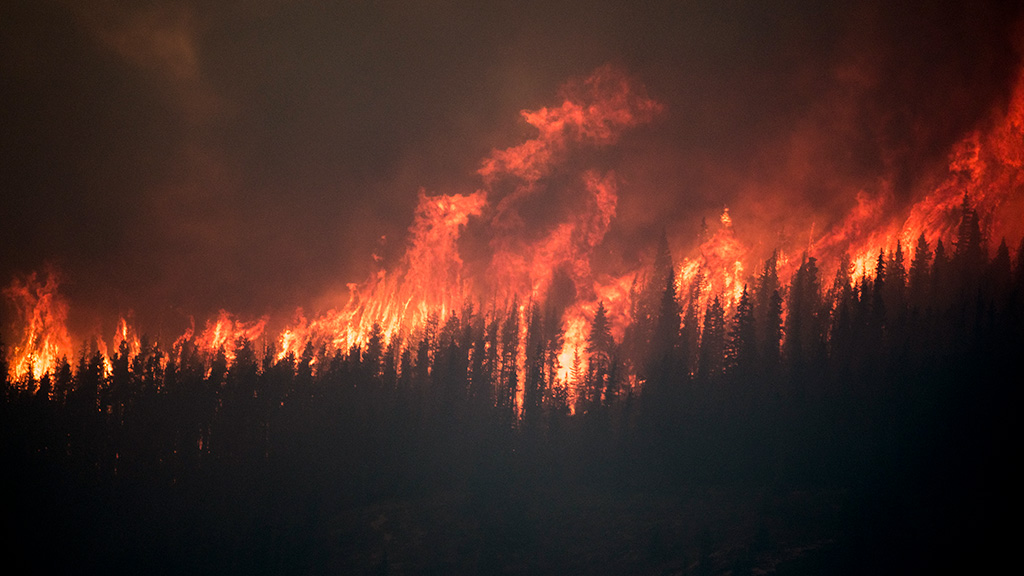 3 Ways Drones Have Helped Fight Wildfires Around the World