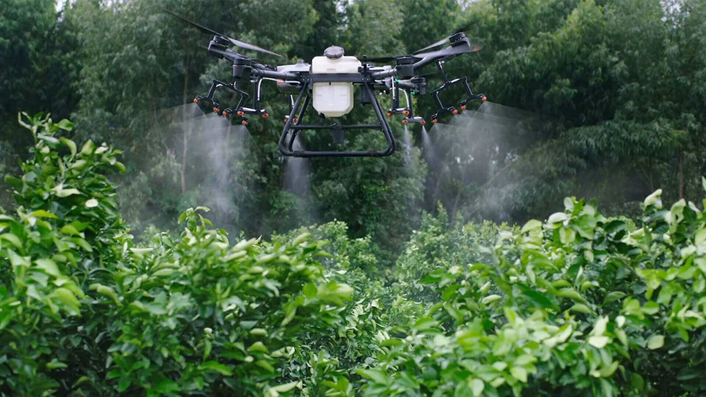 The top six ways that drones are making life easier for farmers around the globe.